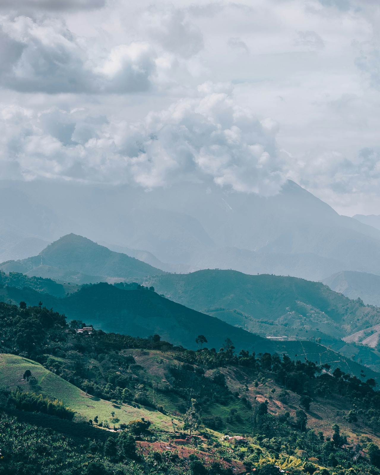 Cultivated Andean hillsides, oblique aerial view.