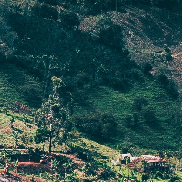 Hillside farmland with a farmhouse among trees